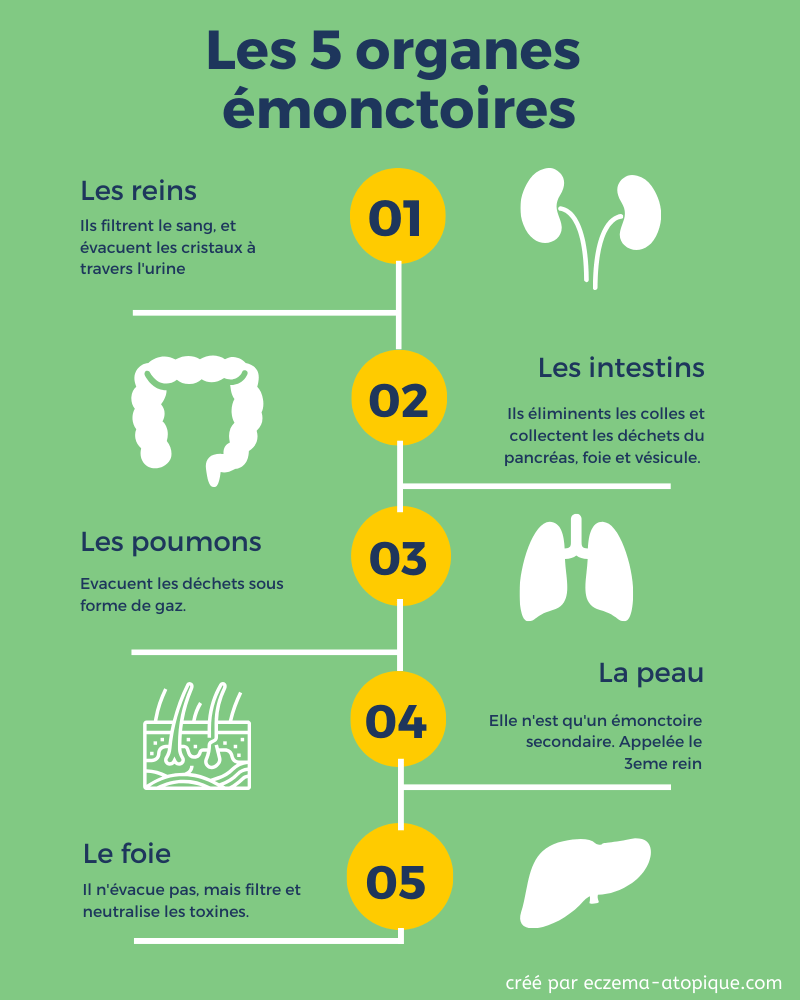 emonctoires-eczema-mains Les émonctoires